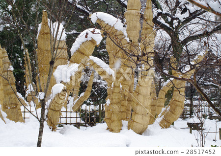 Great scythe that scooped in Shukkeien 28517452