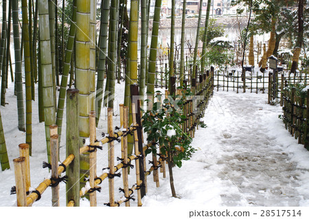 Bamboo grove in Hiroshima Reduced Landscape garden with snow makeup 28517514
