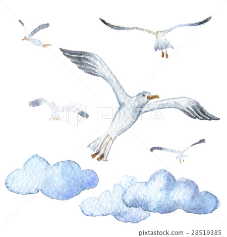 Watercolor. Seagull in the clouds. Sea icon 28519385