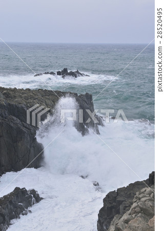 [Fukui Prefecture] Tojinbo and Anami in winter 28520495