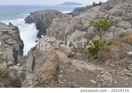 [Fukui Prefecture] Tojinbo and Anami in winter 28520519