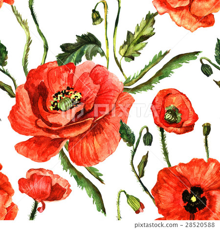 Wildflower poppy flower pattern in a watercolor Wildflower poppy flower pattern in a watercolor 28520588