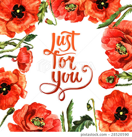 Wildflower poppy flower frame in a watercolor 28520590
