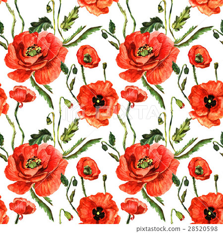 wildflower poppy flower pattern in a watercolor stock illustration