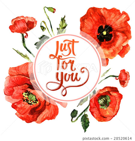Wildflower poppy flower frame in a watercolor Wildflower poppy flower frame in a watercolor 28520614