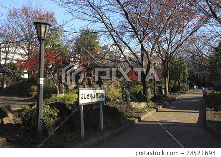 At Kawaguchi Nishigyoen in late autumn (Kishimachi Square) At Kawaguchi Nishigyoen in late autumn (Kishimachi Square) 28521693