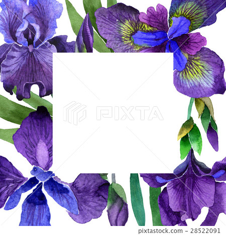 Wildflower iris flower frame in a watercolor style Wildflower iris flower frame in a watercolor style 28522091