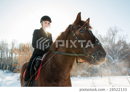 Young beautiful girl jockey riding a horse in 28522133