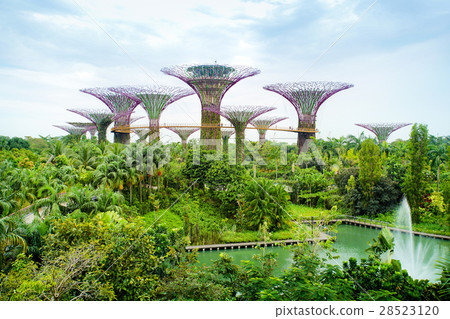 Gardens by the bay Singapore 28523120