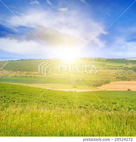 hilly terrain, spring field and sunrise on sky 28524272