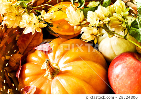 Autumn in a basket Autumn in a basket 28524800