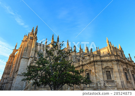 Seville Cathedral, Spain. 28524873
