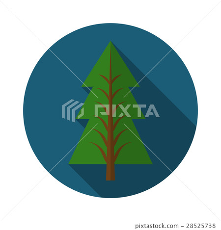 Flat vector illustration of pine tree icon 28525738