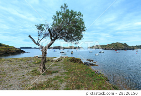 Cala de Portlligat bay(Spain). 28526150