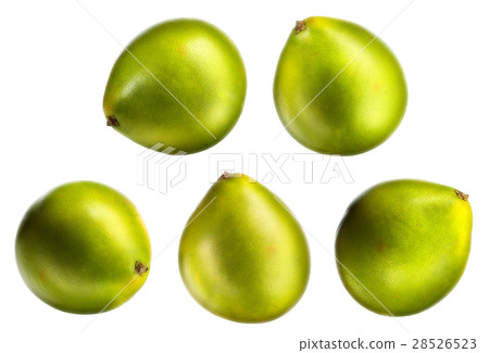 Green pomelo citrus fruit isolated Green pomelo citrus fruit isolated 28526523
