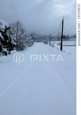 2017年2月鐵道與鳥取武的大雪 28526655