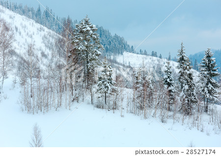Winter Carpathian Mountains landscape. 28527174
