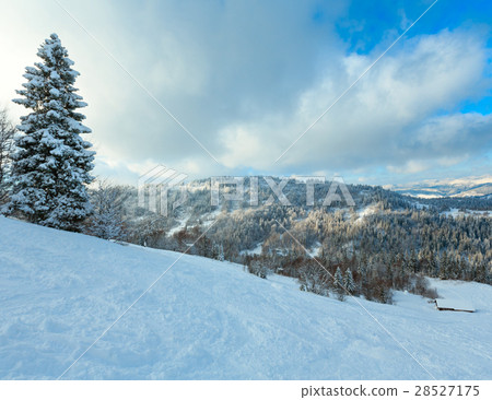 Winter Carpathian Mountains landscape, Ukraine. 28527175