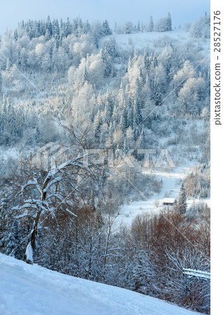 Winter Ukrainian Carpathian Mountains landscape. 28527176