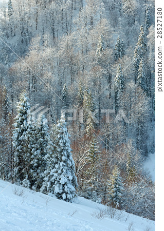 Winter Ukrainian Carpathian Mountains landscape. 28527180