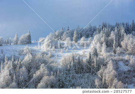 Winter Ukrainian Carpathian Mountains landscape. 28527577