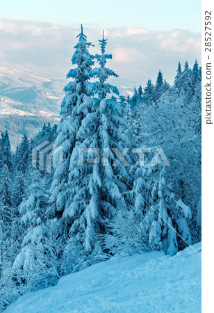 Winter Carpathian Mountains landscape, Ukraine. 28527592