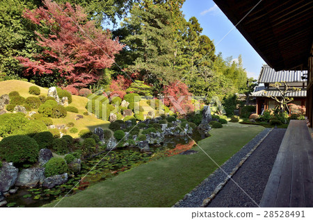 Furuzu的老式龍燈籠花園 28528491