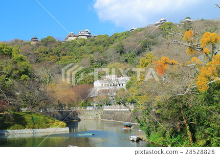 松山城和愛媛縣政府 松山城和愛媛縣政府 28528828