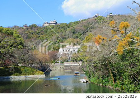 Matsuyama Castle and Ehime Prefectural Office 28528829