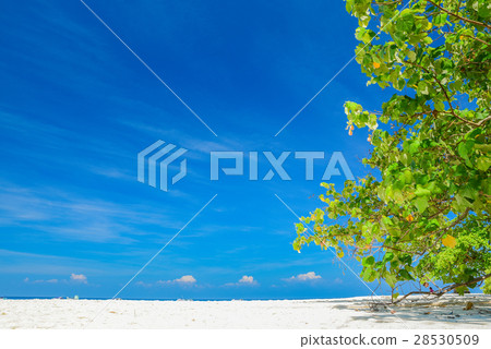 Tropical beach Sea Sand sky and summer day 28530509