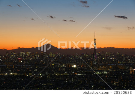 在黃昏和東京天空樹的富士 28530688
