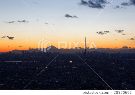 在黃昏和東京天空樹的富士 28530692