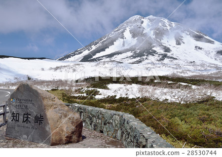 知床通道的春天 知床通道的春天 28530744