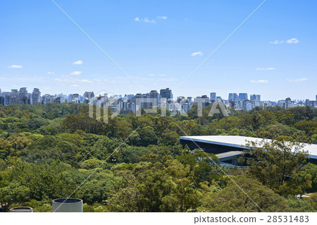 Sao Paulo city, Brazil. Ibirapuera Park Sao Paulo city, Brazil. Ibirapuera Park 28531483