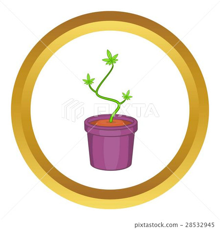 Marijuana in flower pot vector icon Marijuana in flower pot vector icon 28532945
