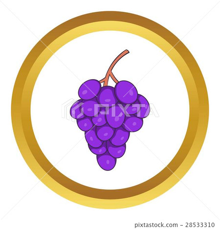 Bunch of wine grapes vector icon 28533310