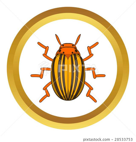 Colorado potato beetle vector icon Colorado potato beetle vector icon 28533753
