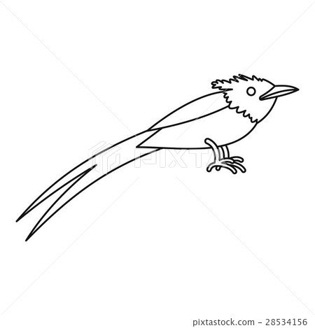Asian paradise flycatcher icon, outline style 28534156