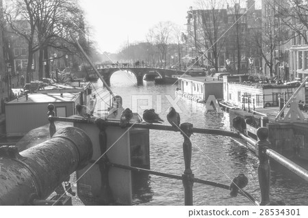The landscape of Amsterdam in the Netherlands 2 The landscape of Amsterdam in the Netherlands 2 28534301