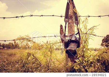 Camera Hanging Fence Nature Greens 28534821