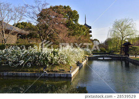 Toji 5-storied pagoda Toji 5-storied pagoda 28539529