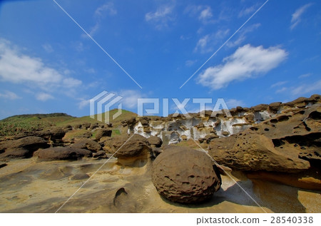 海邊風化石 海邊風化石 28540338