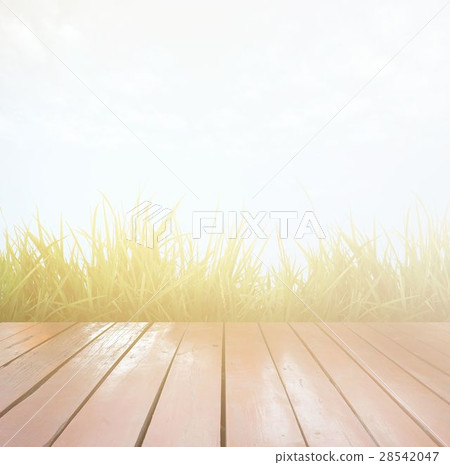 wooden terrace and blue sky 28542047