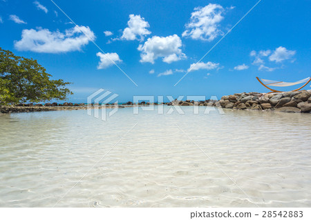 Flamingo beach at Aruba island 28542883