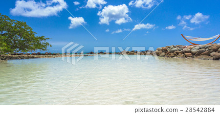 Flamingo beach at Aruba island Flamingo beach at Aruba island 28542884