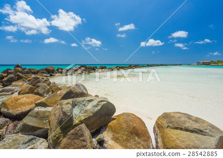 Flamingo beach at Aruba island 28542885