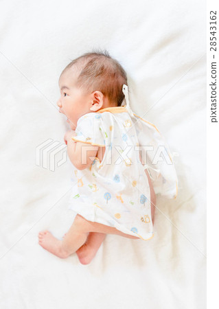 baby girl baby girl 28543162