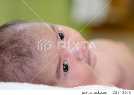 baby girl 28543168
