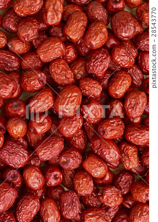 紅棗 乾果 紅棗 乾果 28543770