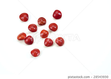 Acacia Bean Seed Acacia 28543930